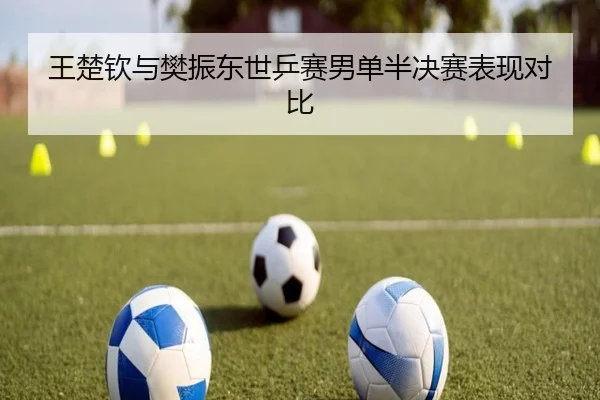 王楚钦与樊振东世乒赛男单半决赛表现对比